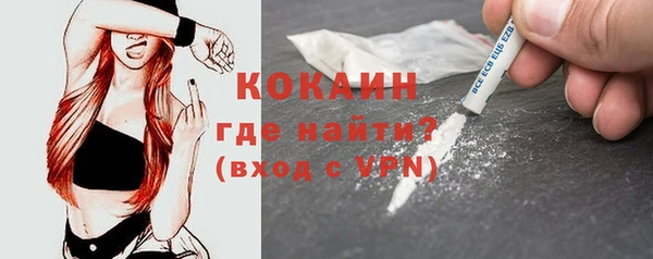 молекула духа Ельня