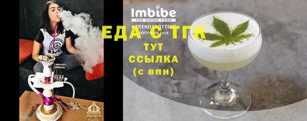 индика Заводоуковск