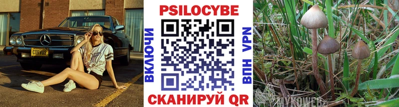 Галлюциногенные грибы Psilocybine cubensis  купить  цена  Тбилисская 